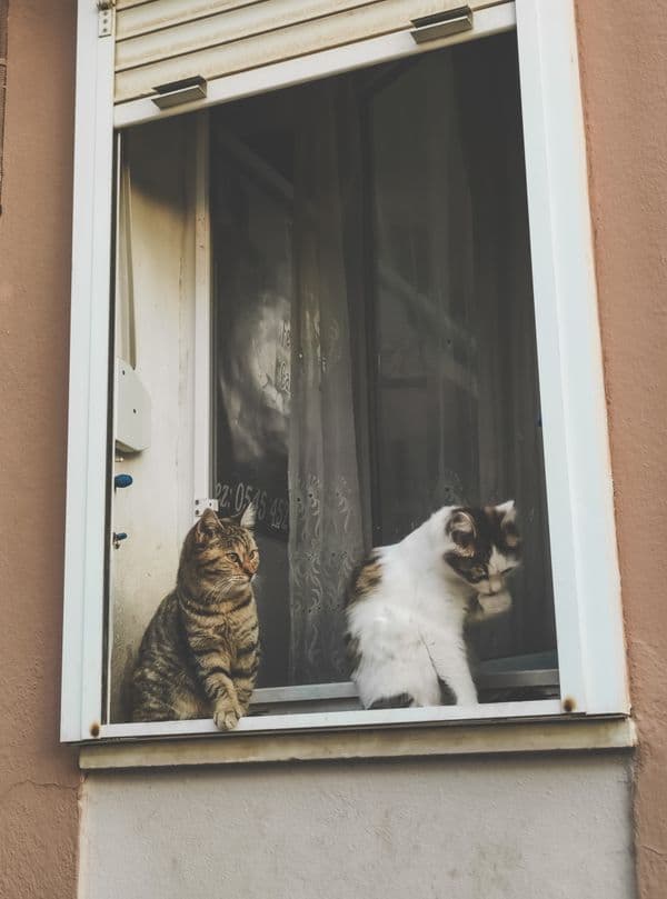 Foto de Loreto M.